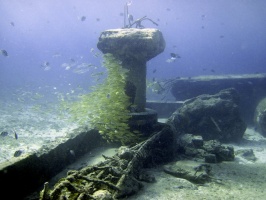 IMG 8922 Grunts at Atlantis